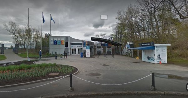 L'Aquarium du Québec en grève du 25 au 27 octobre