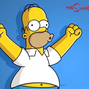 Homer Simpsons va voter