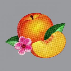 Bankrupt! Le nouvel album de Phoenix!