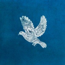 Coldplay dévoile "Magic"