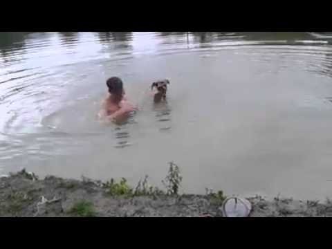 BUZZ : son chien le sauve