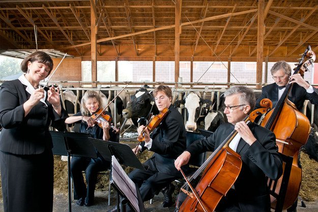 13 choses que vous ne saviez probablement pas sur la musique