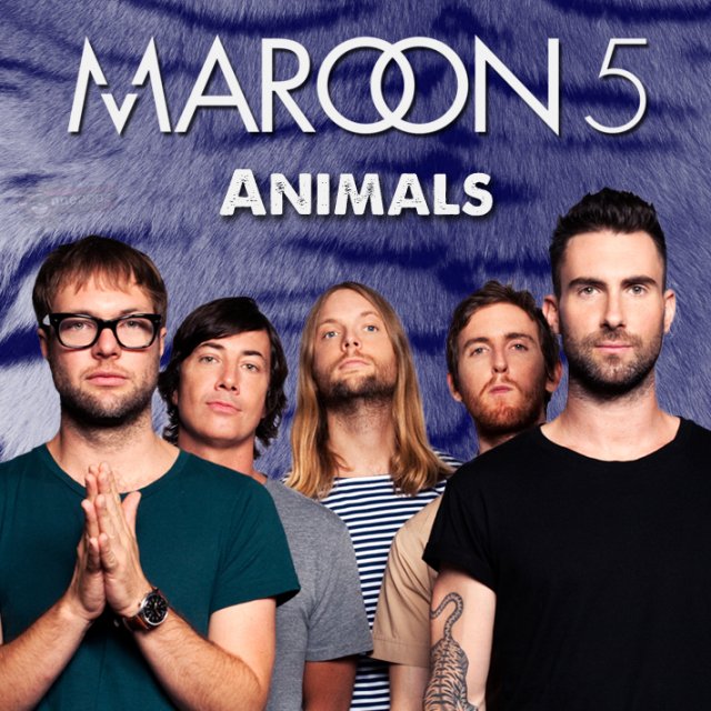 Un berger allemand réagit fortement à la musique de Maroon 5