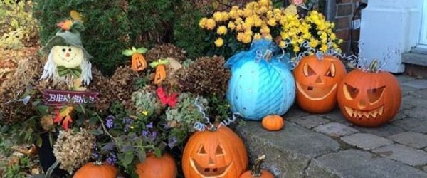 Une citrouille turquoise pour les enfants allergiques