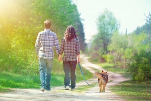 Des adresses pour voyager avec votre chien