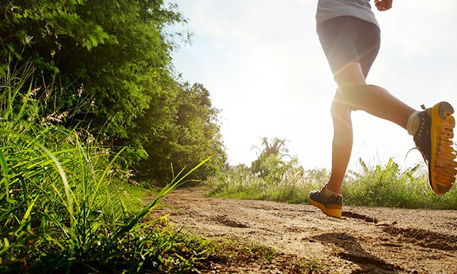 La saison de course 2016
