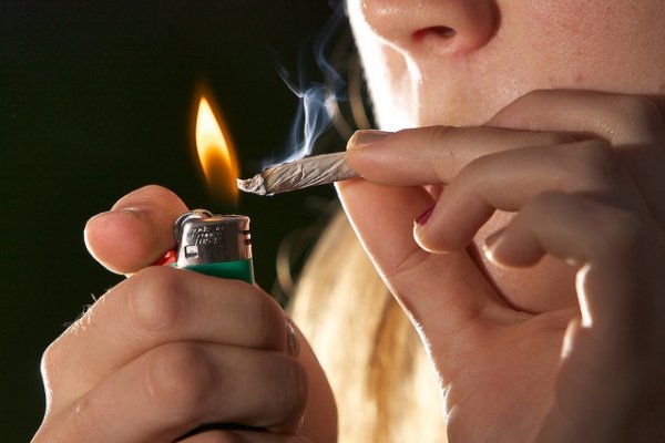 Le pot peut facilement créé une dépendance chez les jeunes