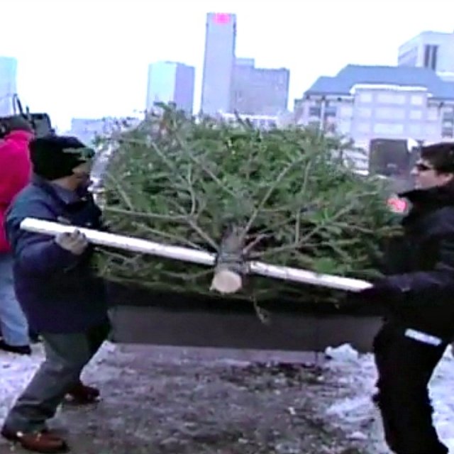 Ramenons le lancer du sapin!
