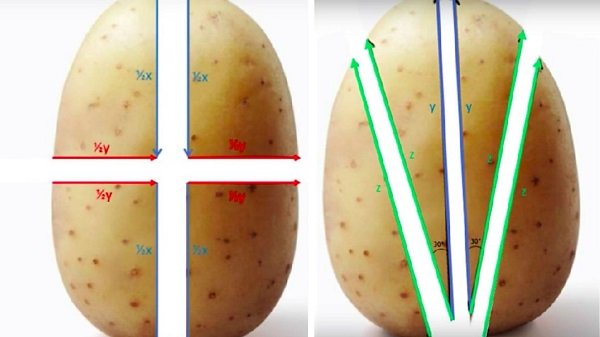 Pour des pommes de terre au four parfaites, essayez cette formule mathématique! 