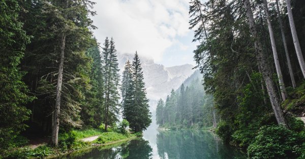 Concrètement, que faut-il faire pour le climat?