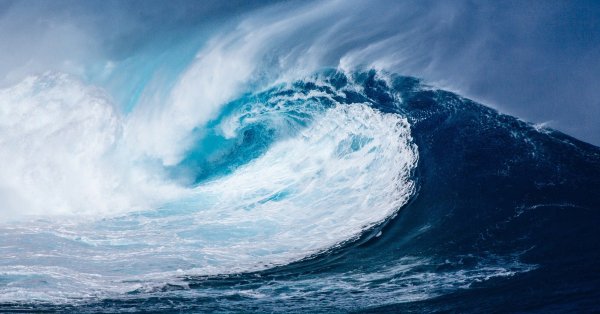 Nat Pellerin - Quand la grand' vague r'vire de bord