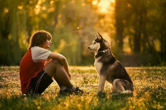 Comportement canin: Une série d’ateliers offert par la Ville de Québec