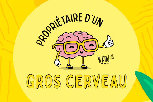 10 questionnaires GROS CERVEAU