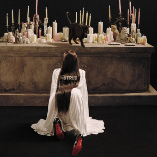 Des fleurs (feat. Stromae)
