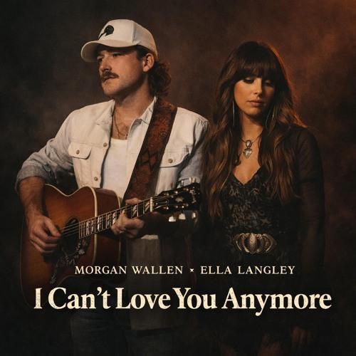 I Can't Love You Anymore