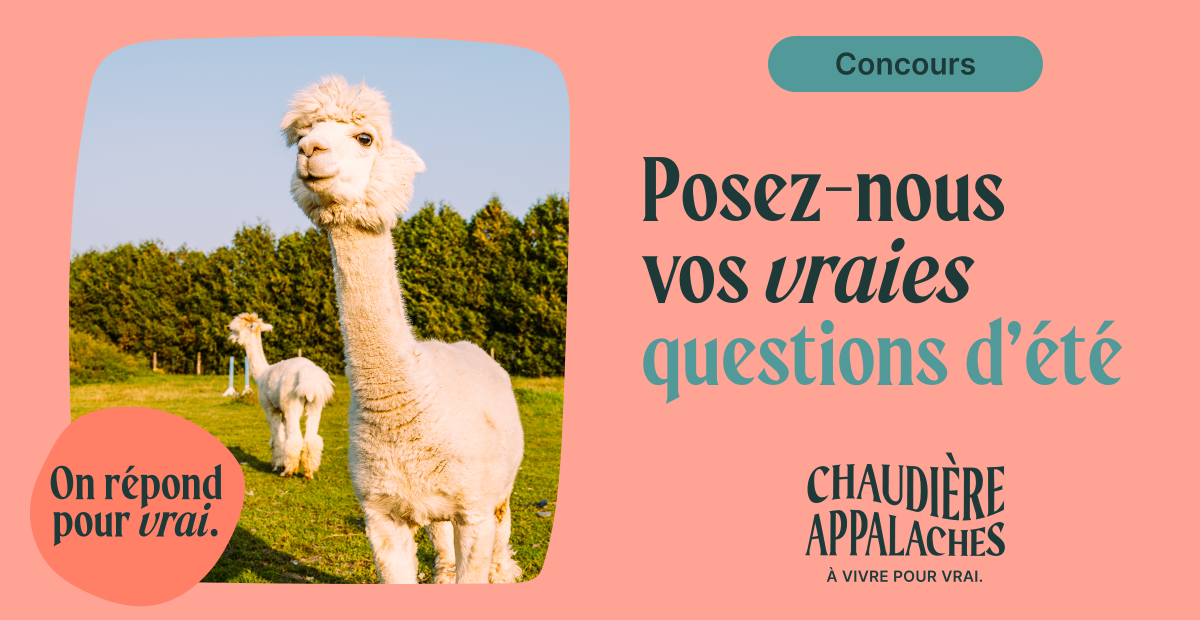 Tourisme Chaudière-Appalaches : posez vos vraies questions d’été!