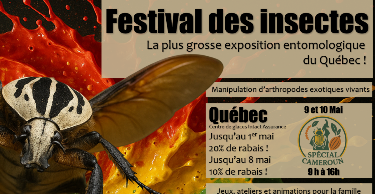 Festival des insectes