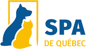 LA SPA reprendra la gestion animale à Québec