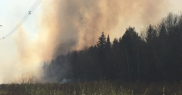 Un important feu d'herbe mobilise 80 pompiers de Québec